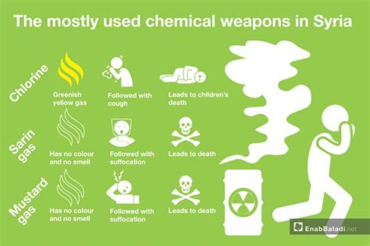 Who was responsible for the Syrian chemical attack?