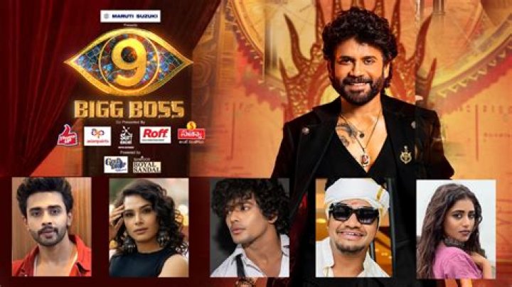 Who won Bigg Boss Season 9 called Double Trouble?