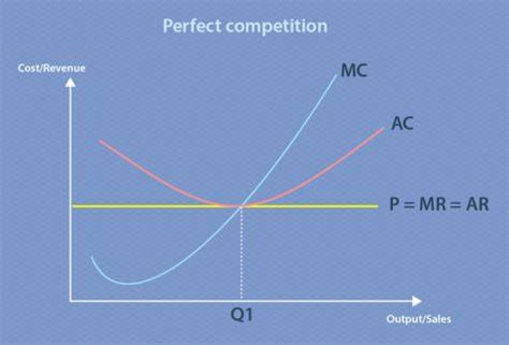 Why are average revenue and marginal revenue equal under perfect competition?