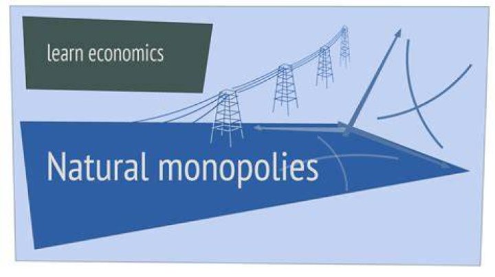 Why are electricity companies monopolies?