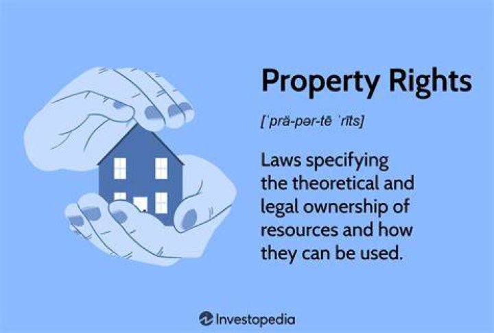 Why are property rights necessary in a free-market system?