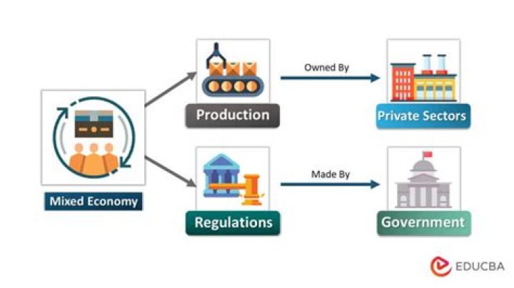Why are socialist systems described as mixed economies?