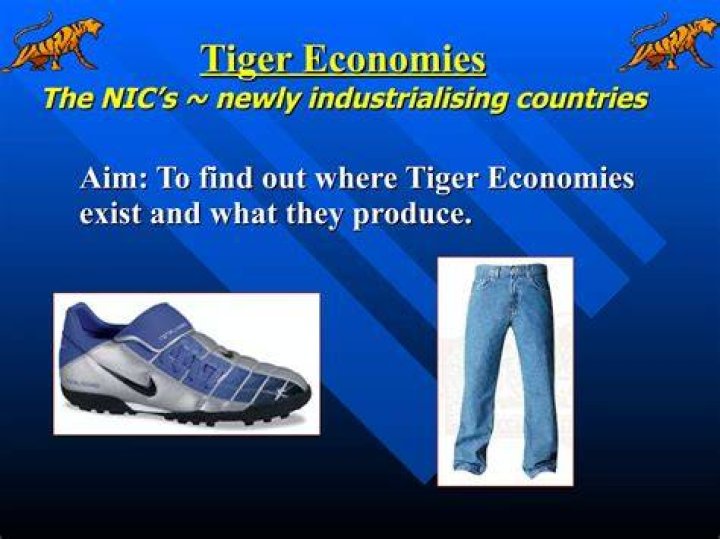 Why are they called tiger economies?