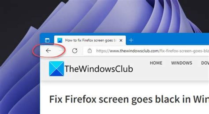 Why browser Back button is not working?