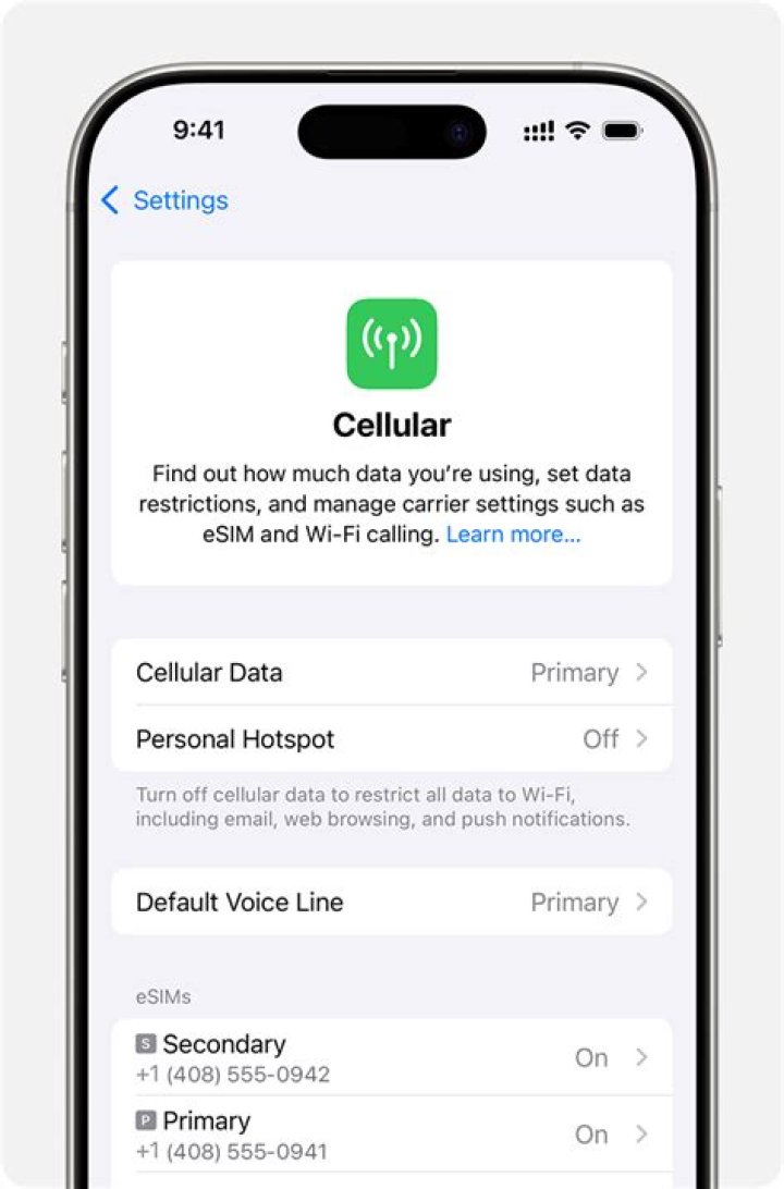 Why cant I download app using cellular data?