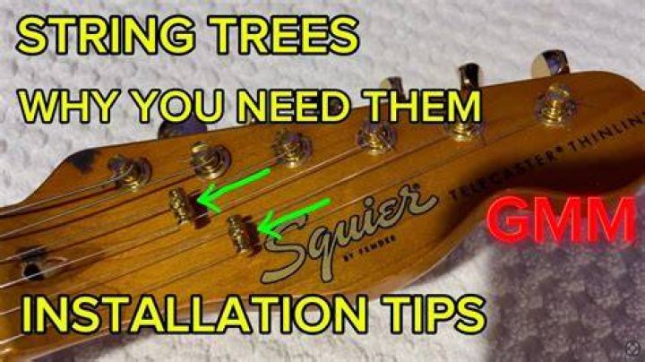 Why do I need string trees on a Strat?
