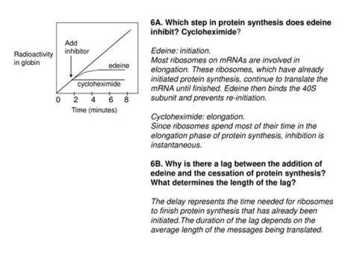 Why do we add cycloheximide in SDA media?