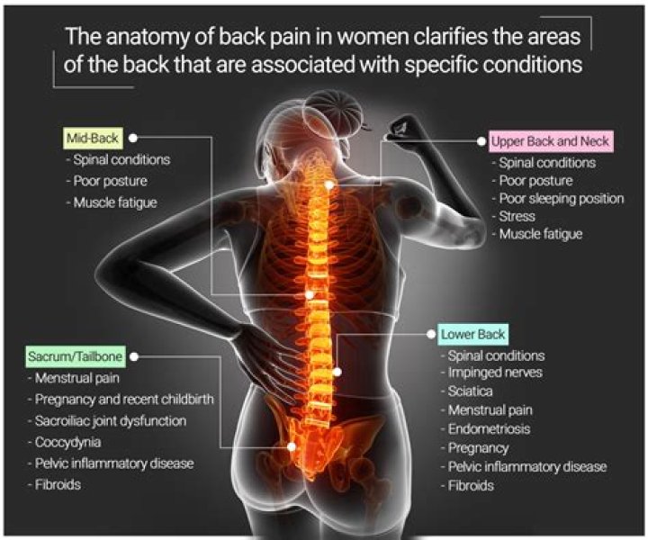 Why does my spine have no curve?