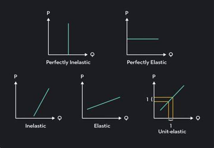 Why does supply tend to be more elastic in the long run than in the short run?