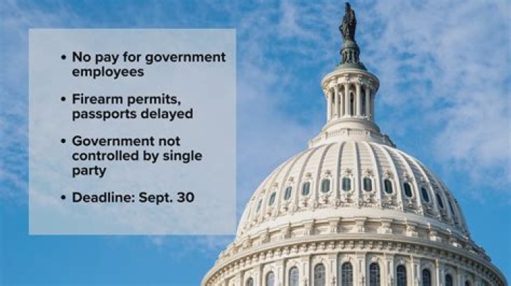 Why does the government need our money?