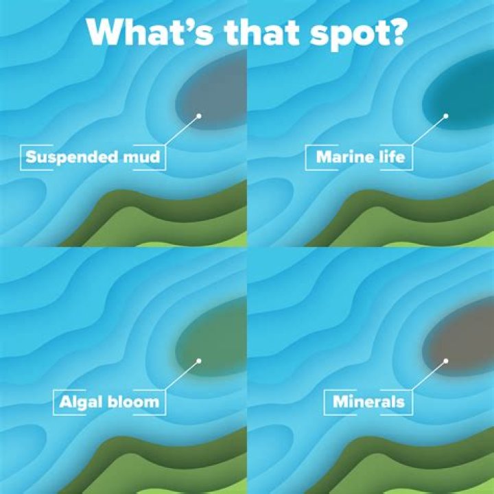 Why does the sea look green?