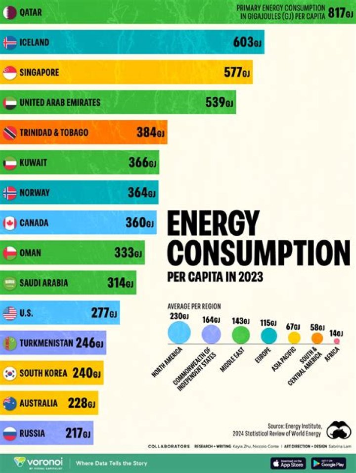 Why is energy usage very high in developed countries?