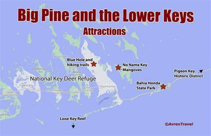 Why is it called Big Pine Key?