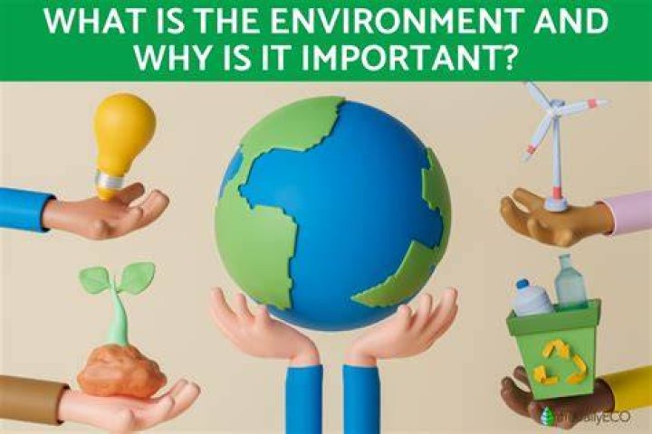 Why is it important to participate in a global economy?