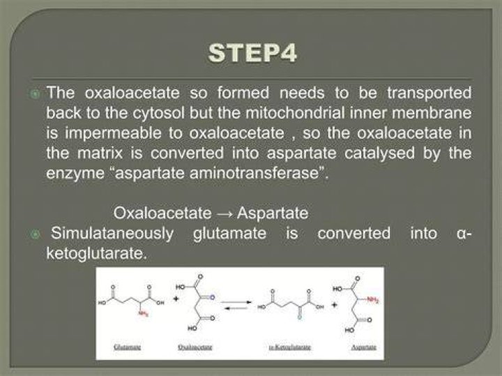 Why is malate-aspartate shuttle more efficient?