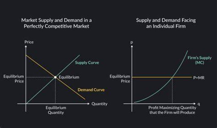Why is the demand curve in perfect competition perfectly elastic?