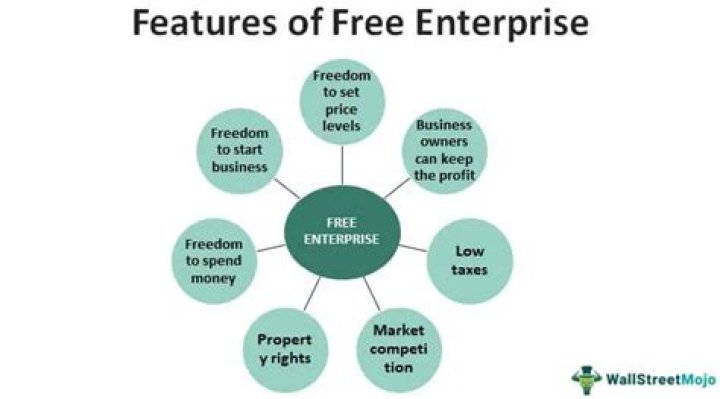 Why is the entrepreneur so important in the free market economy?