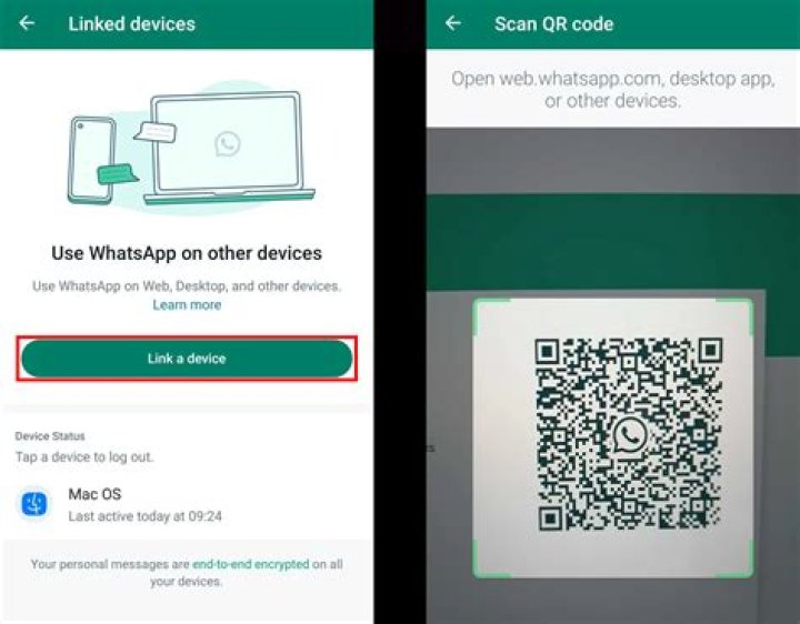 Why is there no iPad version of WhatsApp?