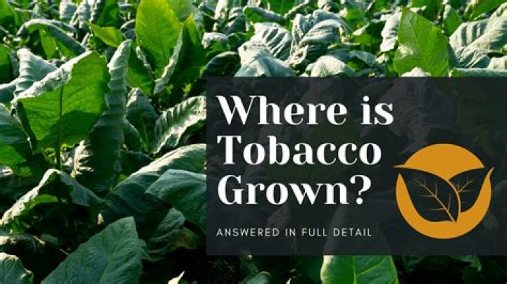 Why is tobacco difficult growing?