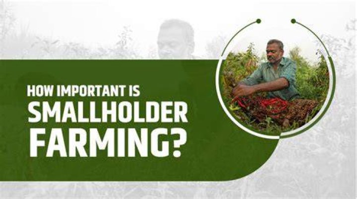 Why smallholder farming is important?