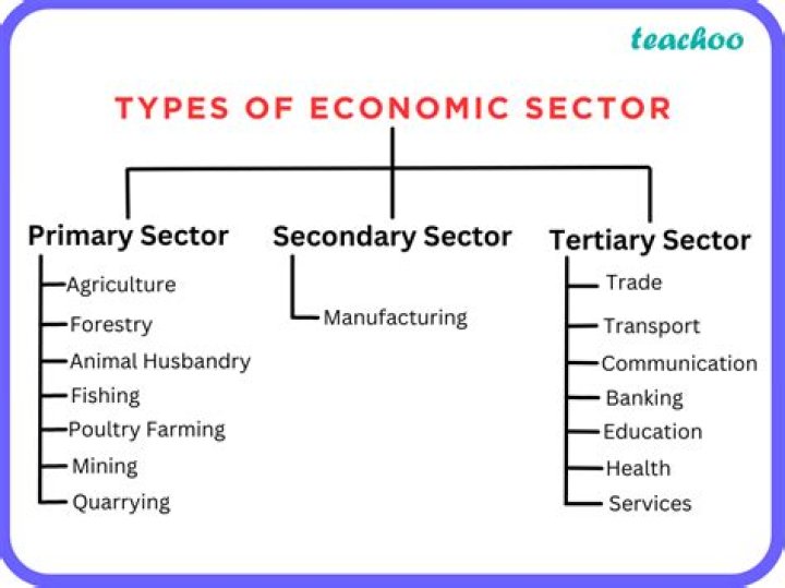 Why tertiary sector is important in economy?