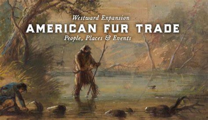 Why was the beaver important in the fur trade?