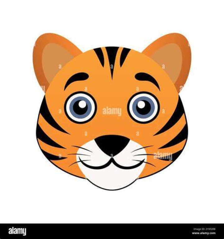 Wie kreierst du ein Tiger-Gesicht?